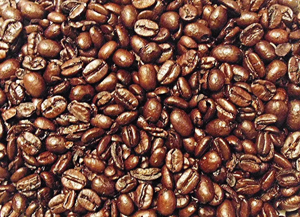 Kintamani Arabica — photo 2